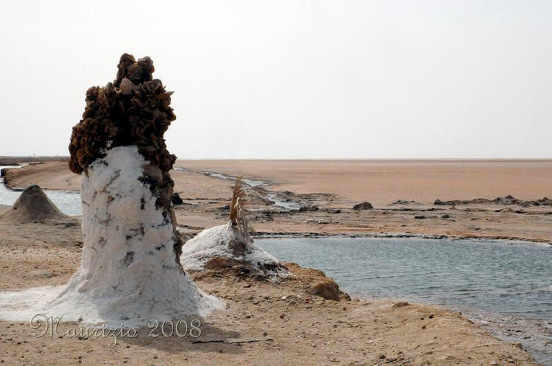 2008_tunisia_0472.JPG