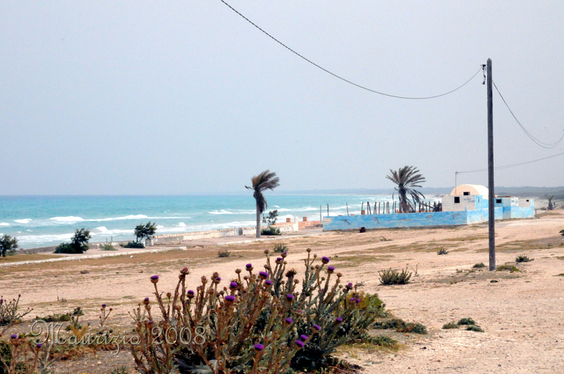 2008_tunisia_0504.JPG