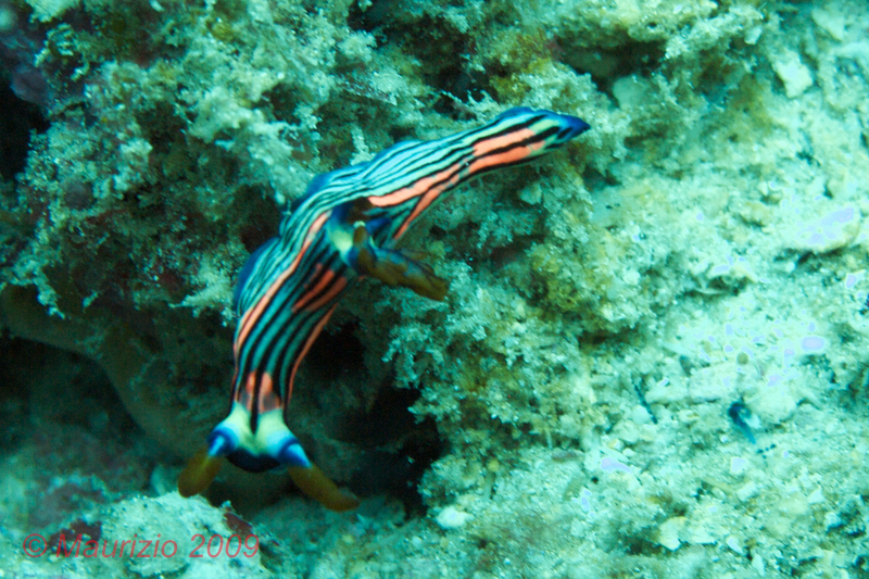 IMG_41.jpg